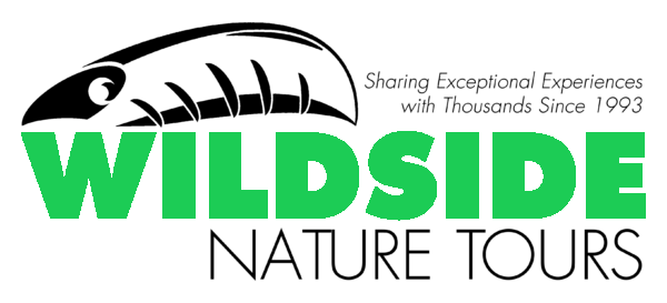 Wildside Nature Tours